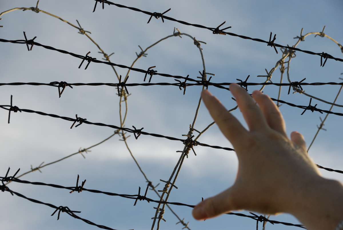 Close up of hand reaching for barbed wire